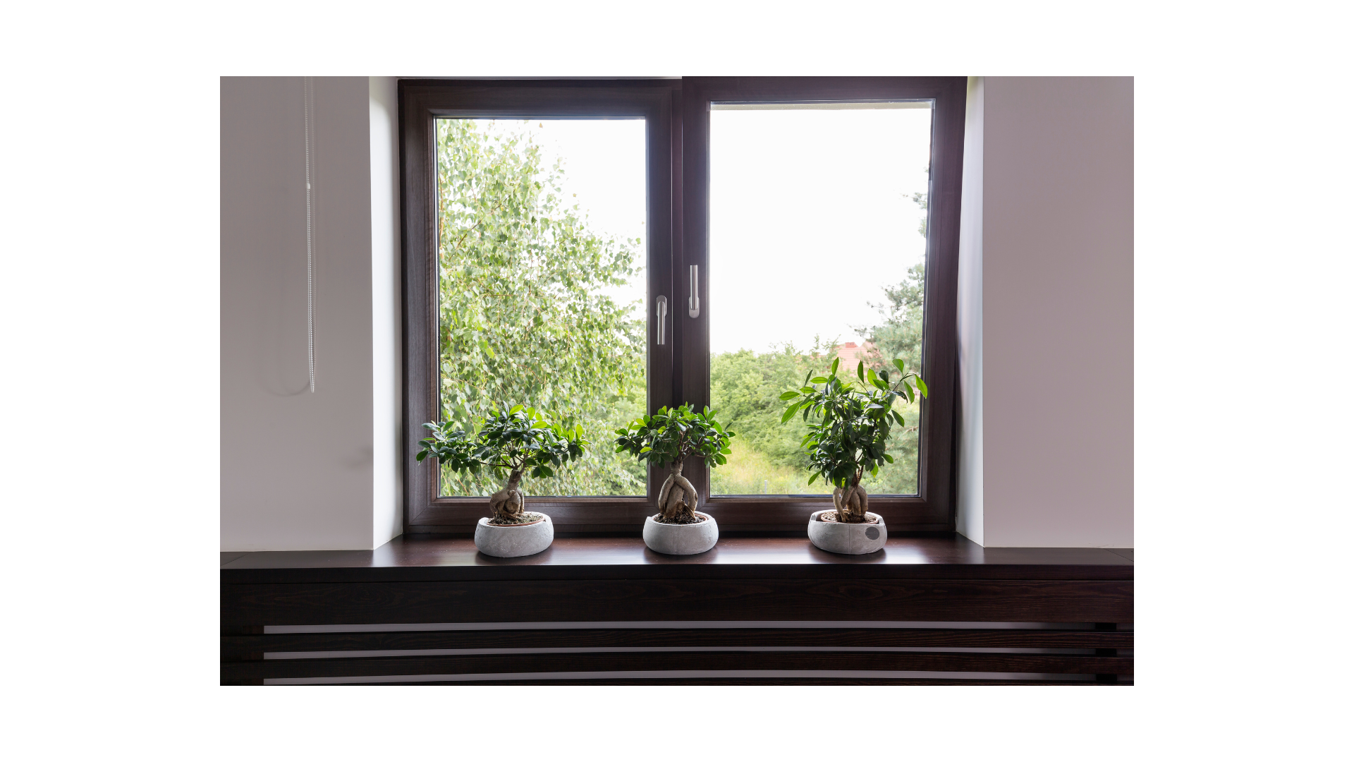 Upgrade Your Home: Discover Double Hung Windows